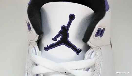 Iris CT8532-105 3 CT8532-105 Jordan Dark Retro 0504